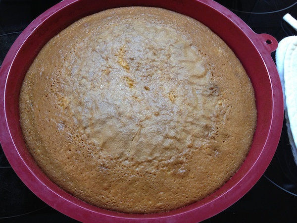 tourta droseri2