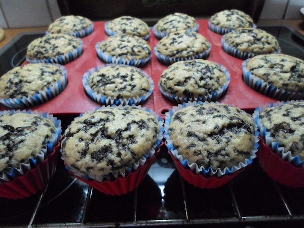 muffins troufa6