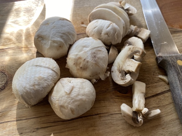manitaria krasata thermomix2