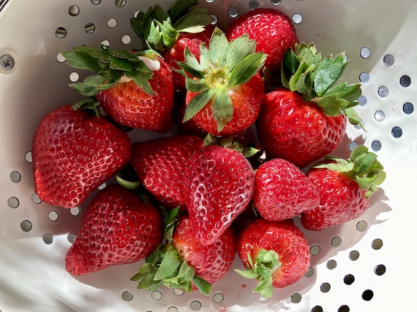 marmelada fraoyla thermomix2