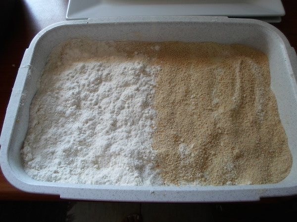 glosses pane2