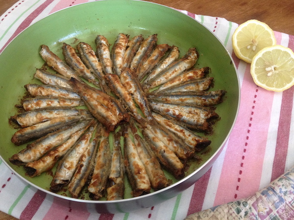 gayros san tiganitos1