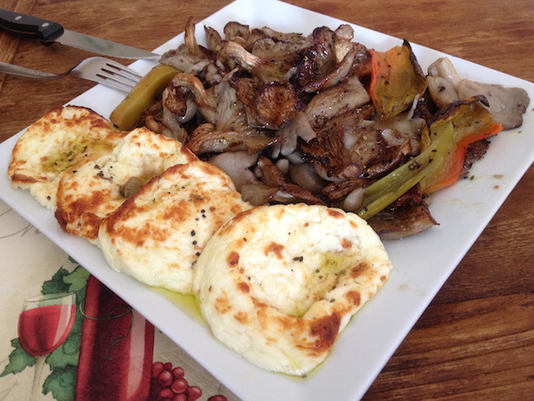 pleyrotoys talagani1