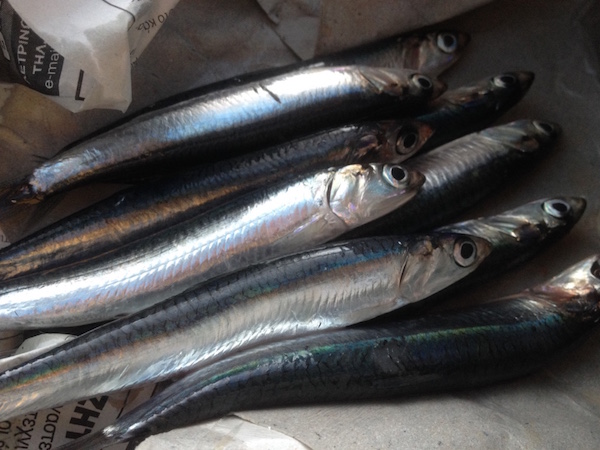 gayros marinatos2