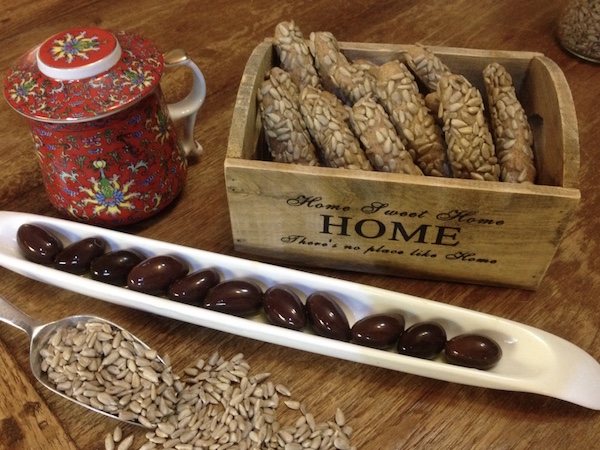 kritsinia me hliosporoys1