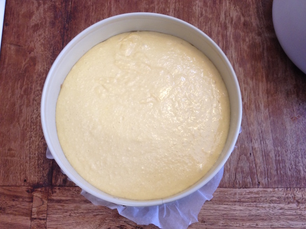 anapodo keik anana11