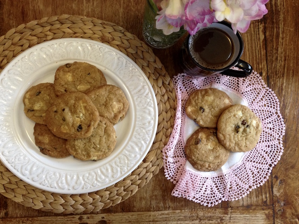 cookies cranberries leykh sokolata1