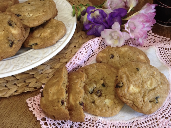 cookies cranberries leykh sokolata17