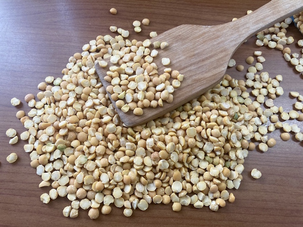 fava thermomix2